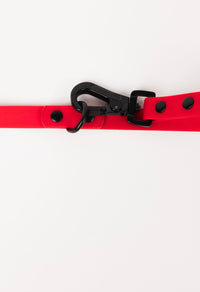 The Modern Dog Company - Ruby Red Adjustable Leash - BIG FRENCHIES