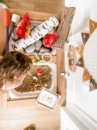 Camping Tent Dramatic Play Kit