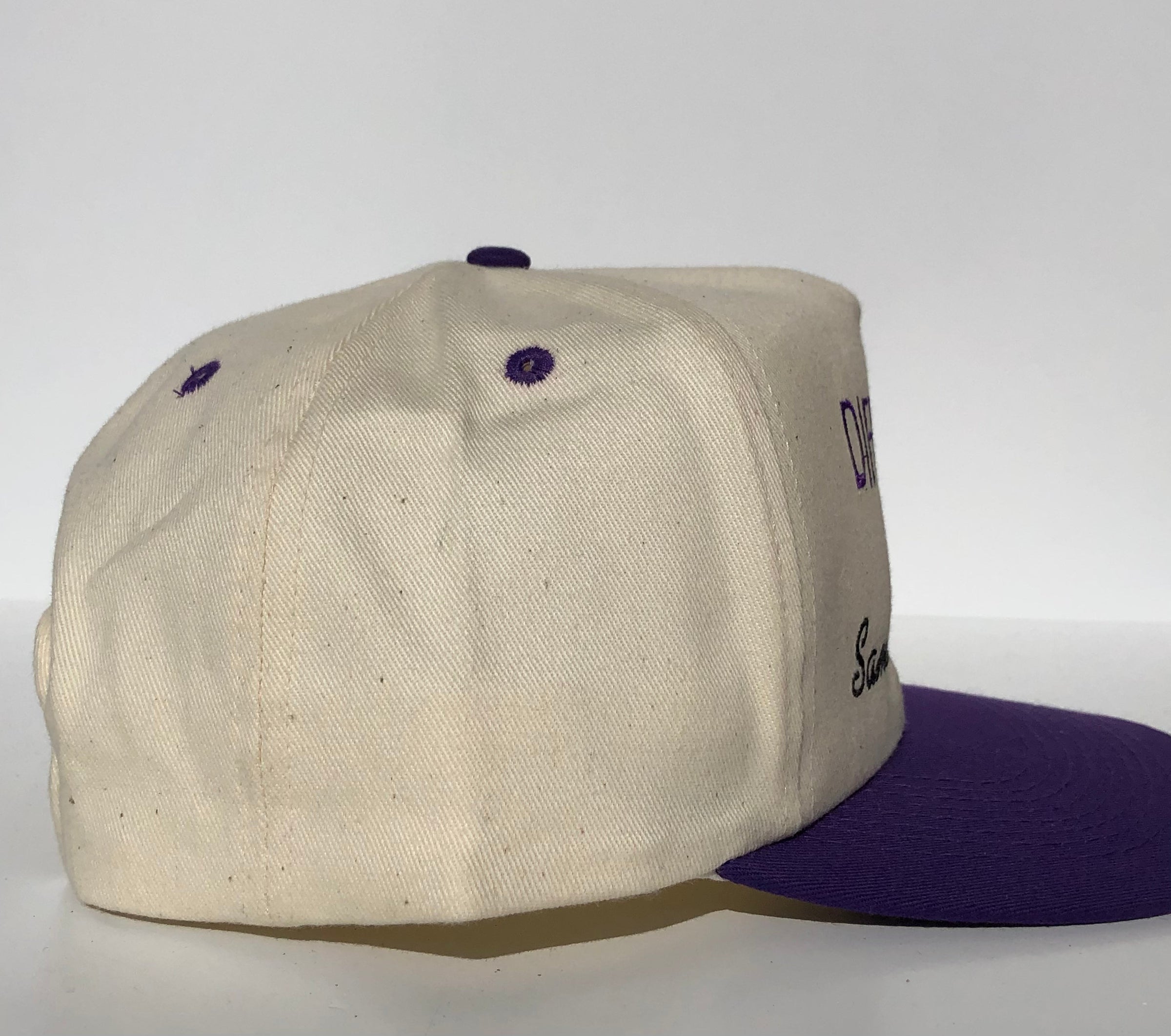 Different Day Same Old Bullshit Custom Embroidered snapback cap hat