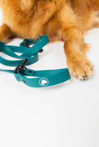The Modern Dog Company - Forest Green Adjustable Leash - BIG FRENCHIES