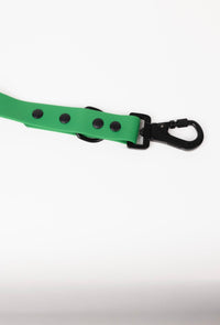 The Modern Dog Company - Clover Green Leash - BIG FRENCHIES