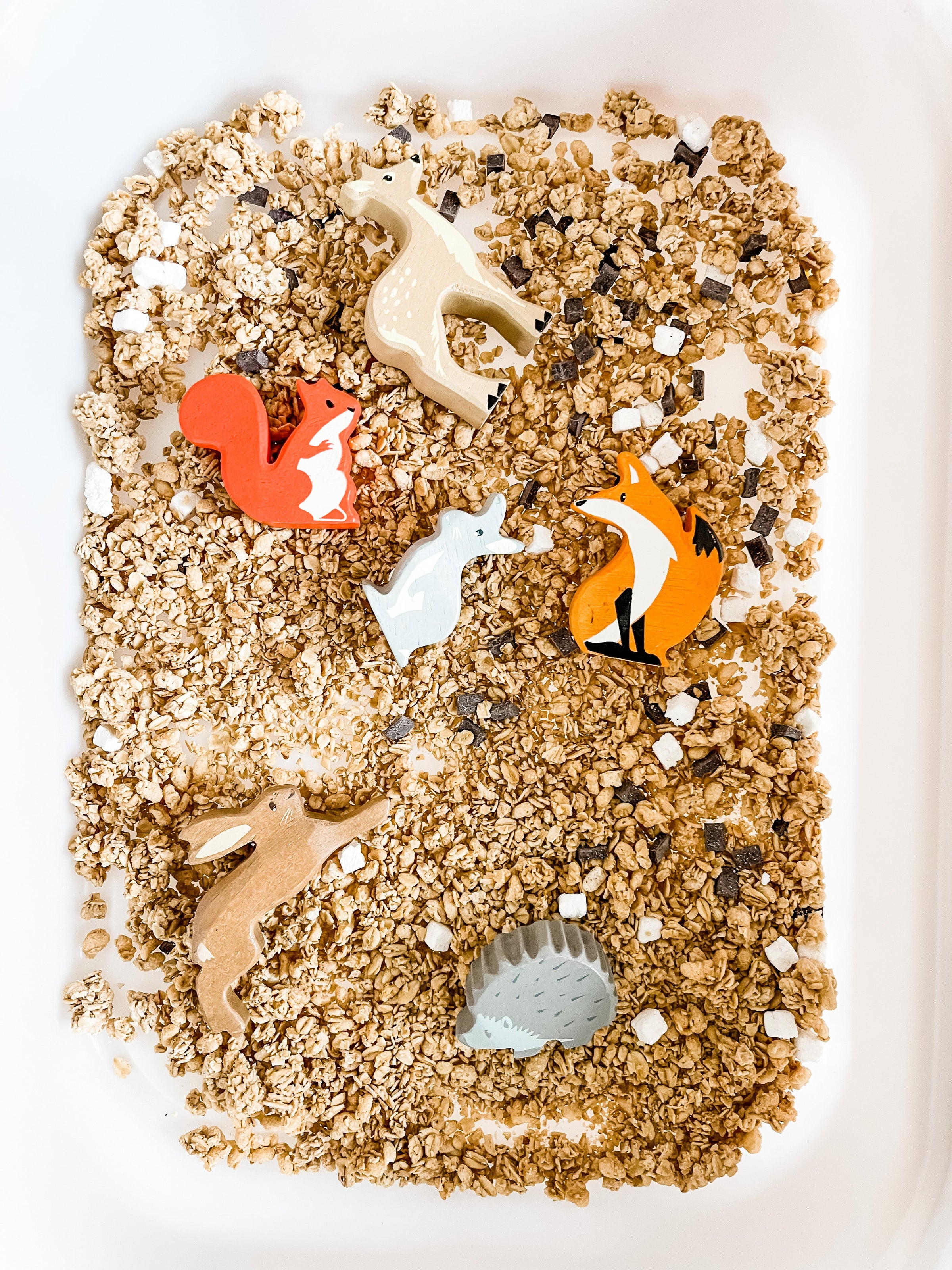 Camping Tent Dramatic Play Kit