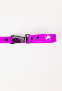 The Modern Dog Company - Electric Fuchsia Leash (Weather + Odor Resistant) - BIG FRENCHIES