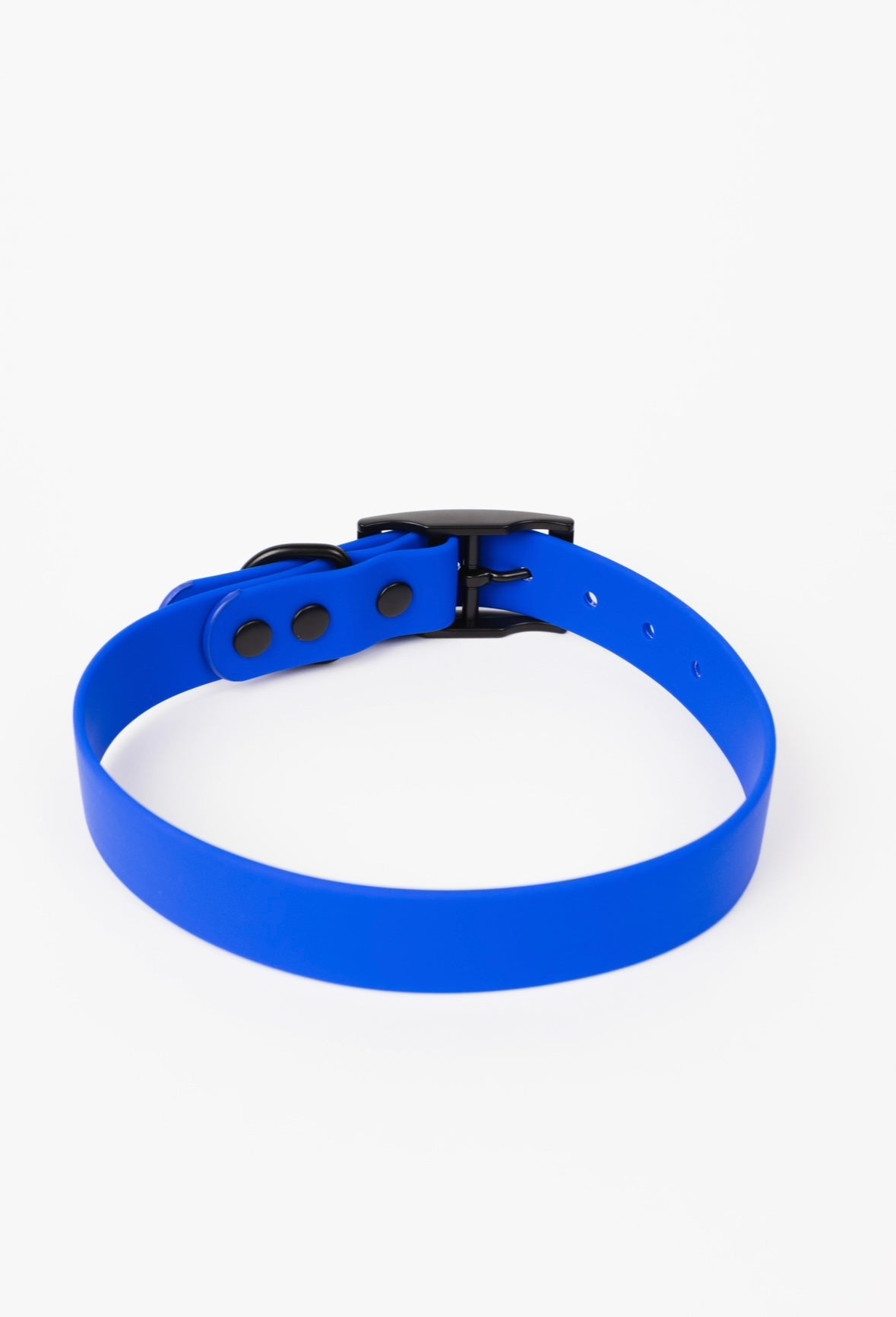 The Modern Dog Company - Royal Blue Collar (Weather + Odor Resistant) - BIG FRENCHIES