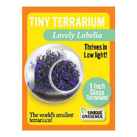 Tiny Terrarium Flower