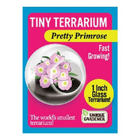Tiny Terrarium Flower