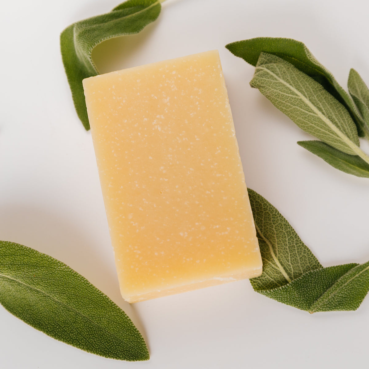 Sage + Sea Salt Exfoliating Bar - BIG FRENCHIES