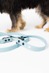 The Modern Dog Company - Dusty Blue Adjustable Leash - BIG FRENCHIES