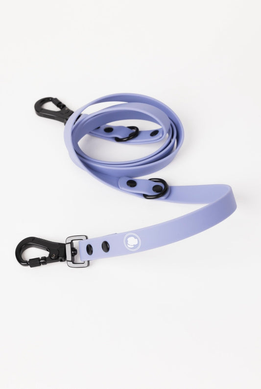 The Modern Dog Company - Lavender Purple Adjustable Leash - BIG FRENCHIES