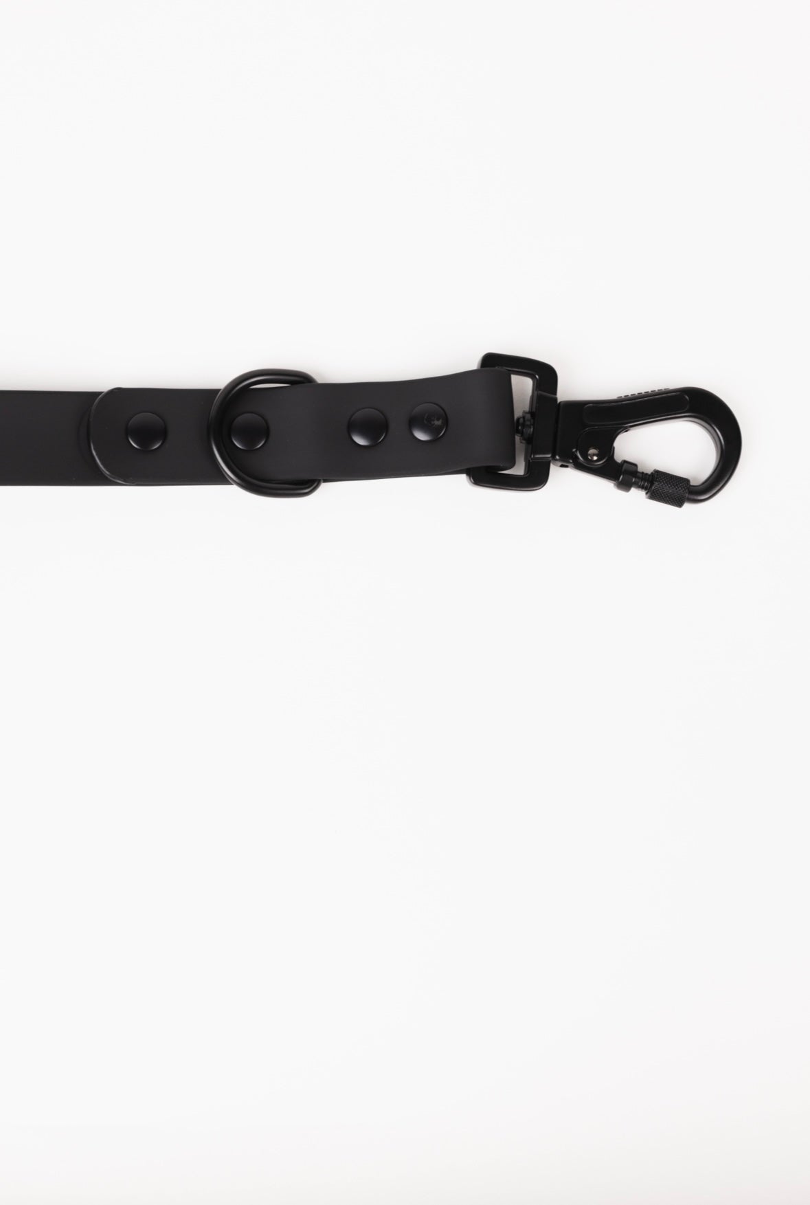 The Modern Dog Company - Better in Black Leash - BIG FRENCHIES
