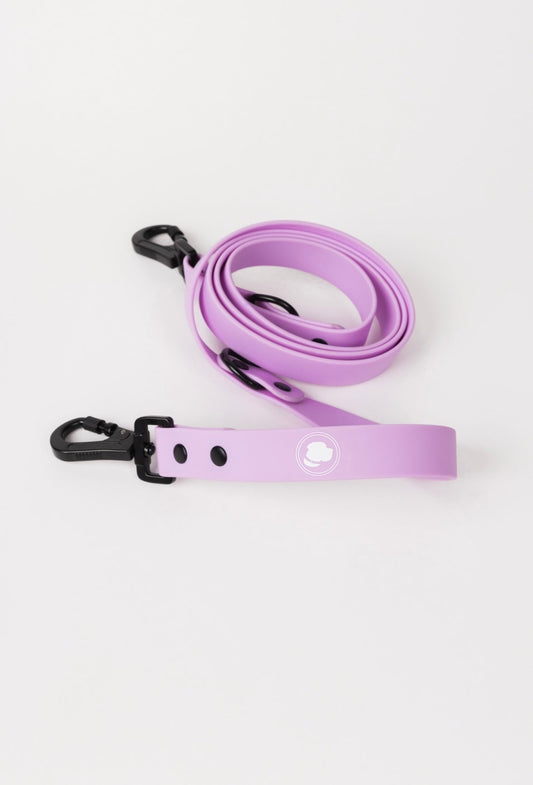 The Modern Dog Company - Blush Pink Leash - BIG FRENCHIES