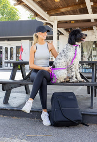 The Modern Dog Company - Electric Fuchsia Collar (Weather + Odor Resistant) - BIG FRENCHIES