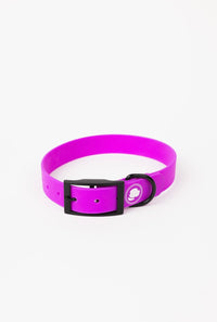The Modern Dog Company - Electric Fuchsia Collar (Weather + Odor Resistant) - BIG FRENCHIES