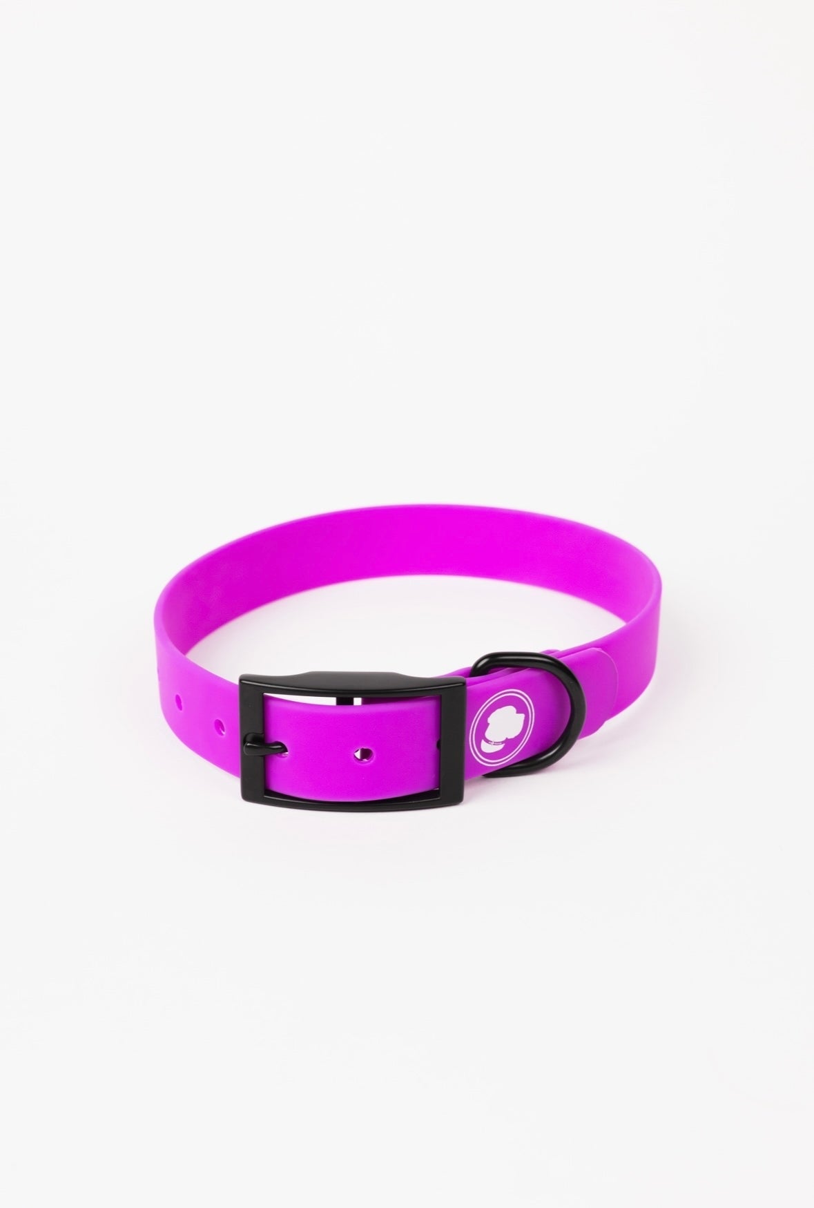 The Modern Dog Company - Electric Fuchsia Collar (Weather + Odor Resistant) - BIG FRENCHIES
