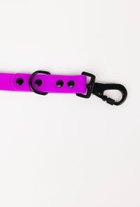 The Modern Dog Company - Electric Fuchsia Leash (Weather + Odor Resistant) - BIG FRENCHIES