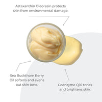 Advanced Peptide Treatment - BIG FRENCHIES