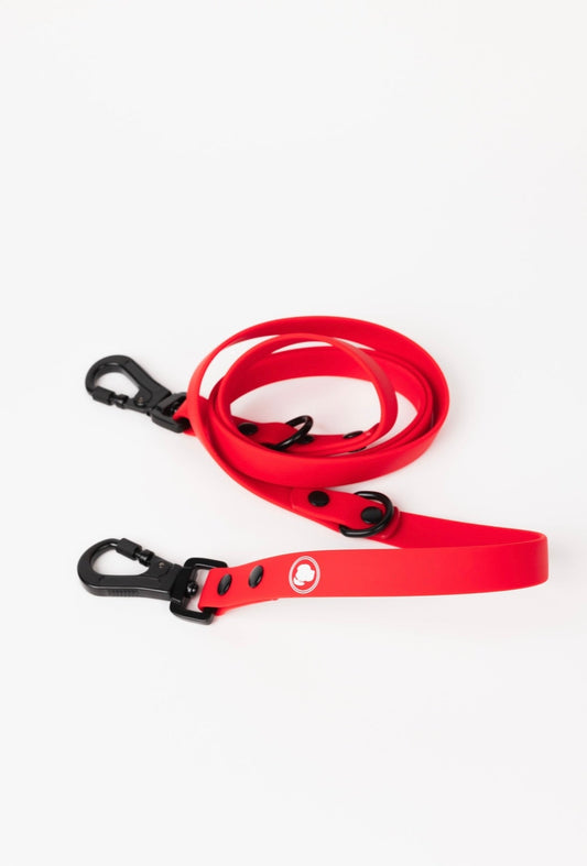 The Modern Dog Company - Ruby Red Adjustable Leash - BIG FRENCHIES