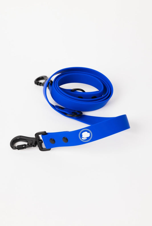 The Modern Dog Company - Royal Blue Leash (Weather + Odor Resistant) - BIG FRENCHIES