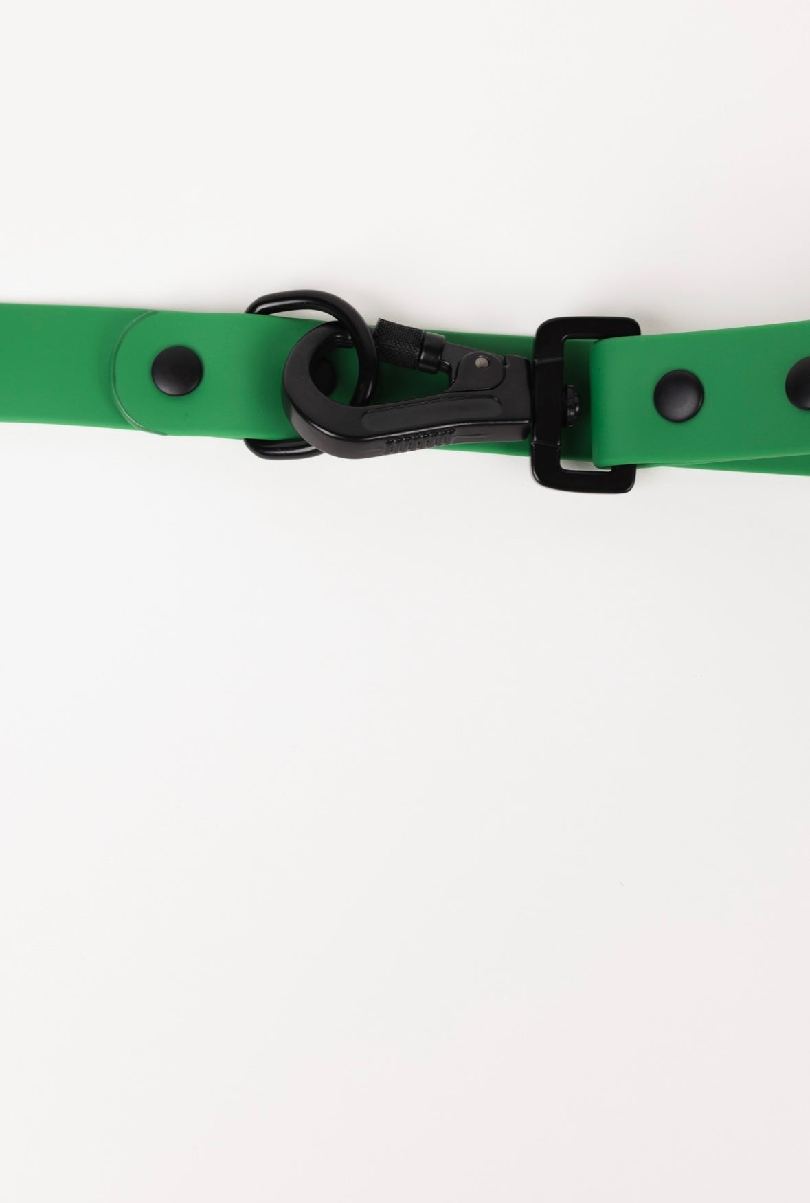 The Modern Dog Company - Clover Green Leash - BIG FRENCHIES