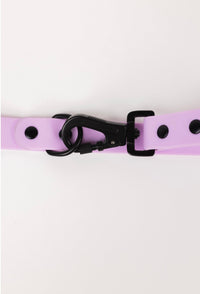 The Modern Dog Company - Blush Pink Leash - BIG FRENCHIES