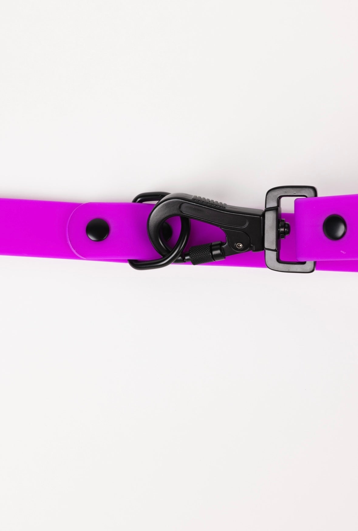 The Modern Dog Company - Electric Fuchsia Leash (Weather + Odor Resistant) - BIG FRENCHIES