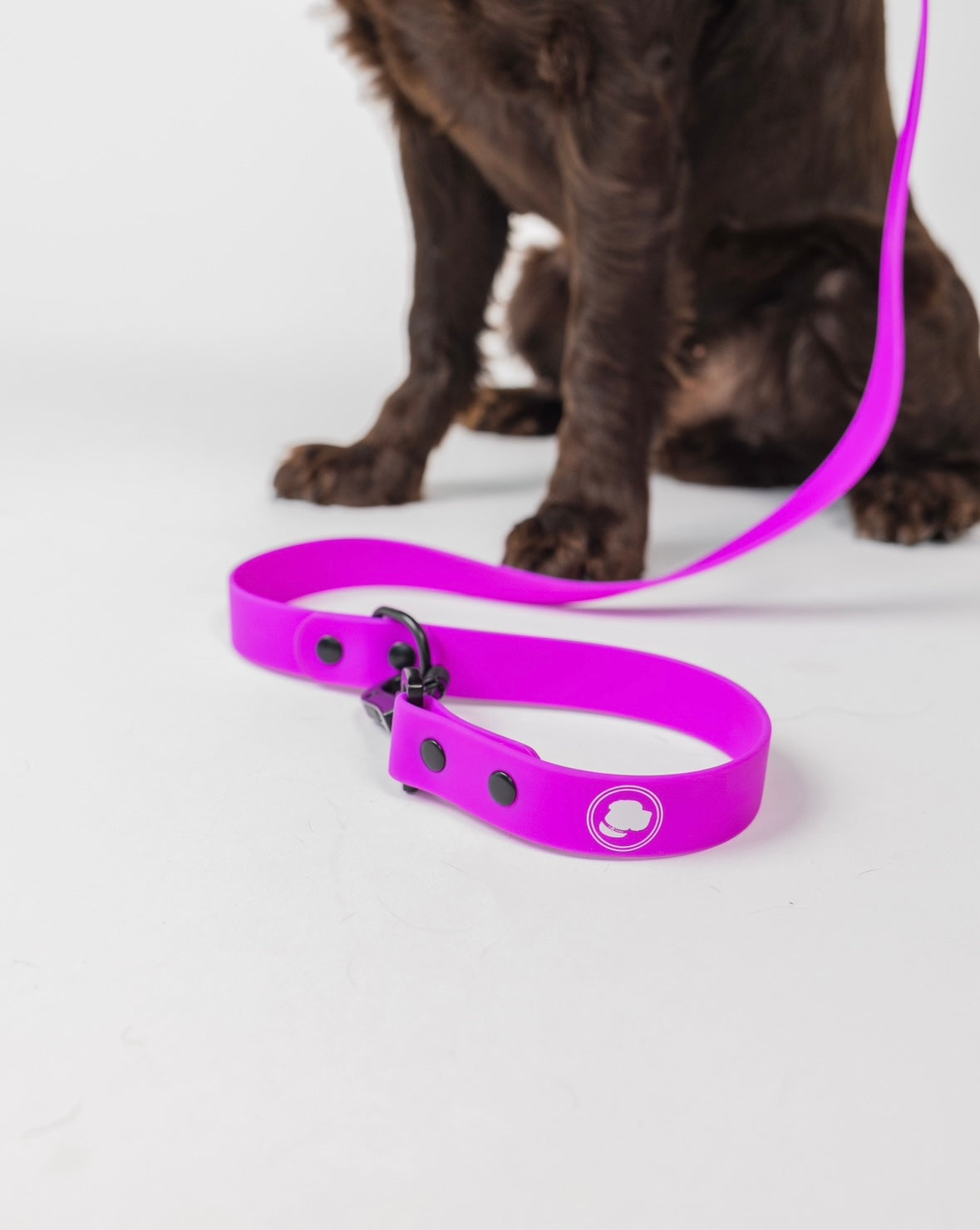 The Modern Dog Company - Electric Fuchsia Leash (Weather + Odor Resistant) - BIG FRENCHIES