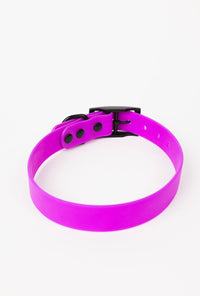 The Modern Dog Company - Electric Fuchsia Collar (Weather + Odor Resistant) - BIG FRENCHIES