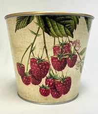 Jenny's Small Berry Gift Tin Basket - Gourmet Snacks in Reusable Berry Tin - BIG FRENCHIES
