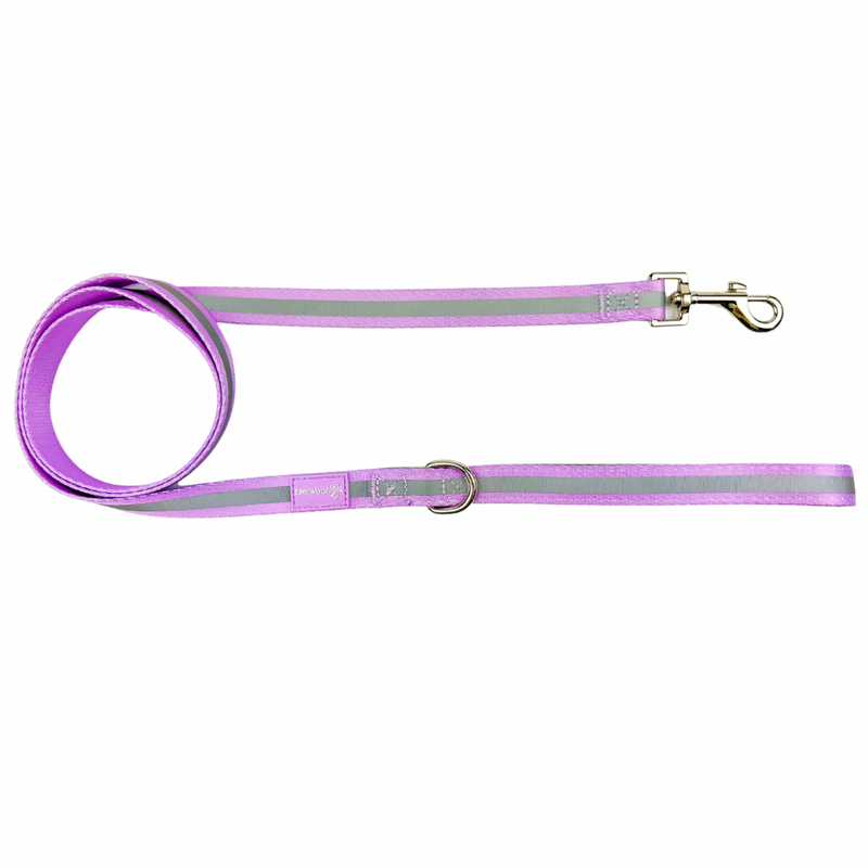 Shine Bright - Amethyst Leash-Leash-BIG FRENCHIES-EverWoof