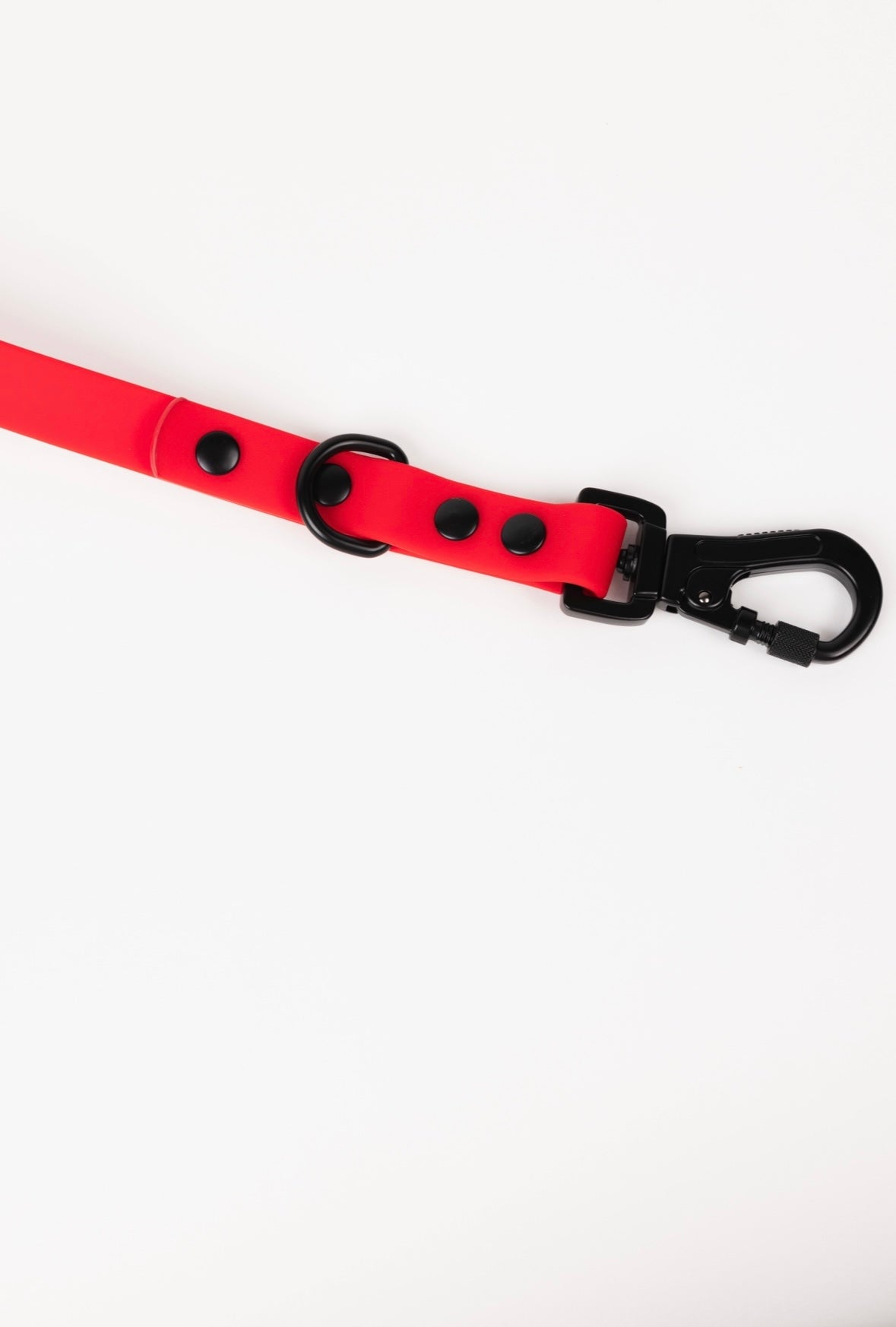 The Modern Dog Company - Ruby Red Adjustable Leash - BIG FRENCHIES