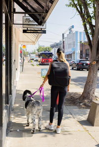 The Modern Dog Company - Electric Fuchsia Collar (Weather + Odor Resistant) - BIG FRENCHIES