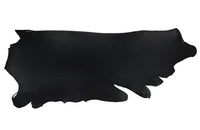 Leather Training Tab - BIG FRENCHIES