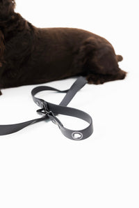 The Modern Dog Company - Better in Black Leash - BIG FRENCHIES