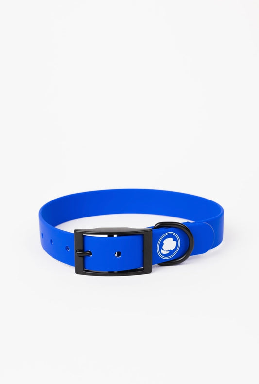 The Modern Dog Company - Royal Blue Collar (Weather + Odor Resistant) - BIG FRENCHIES
