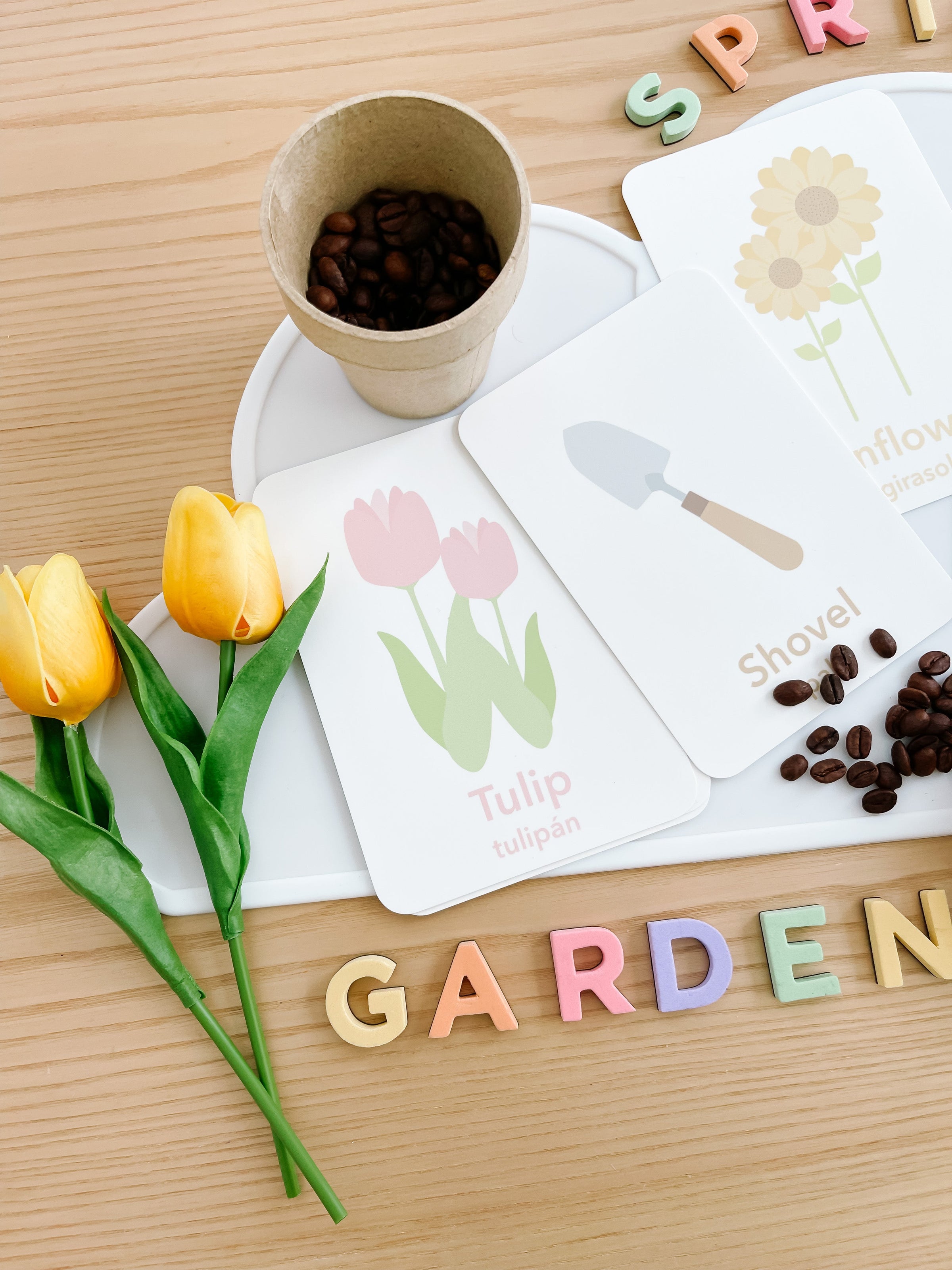 Flower Garden Flashcards