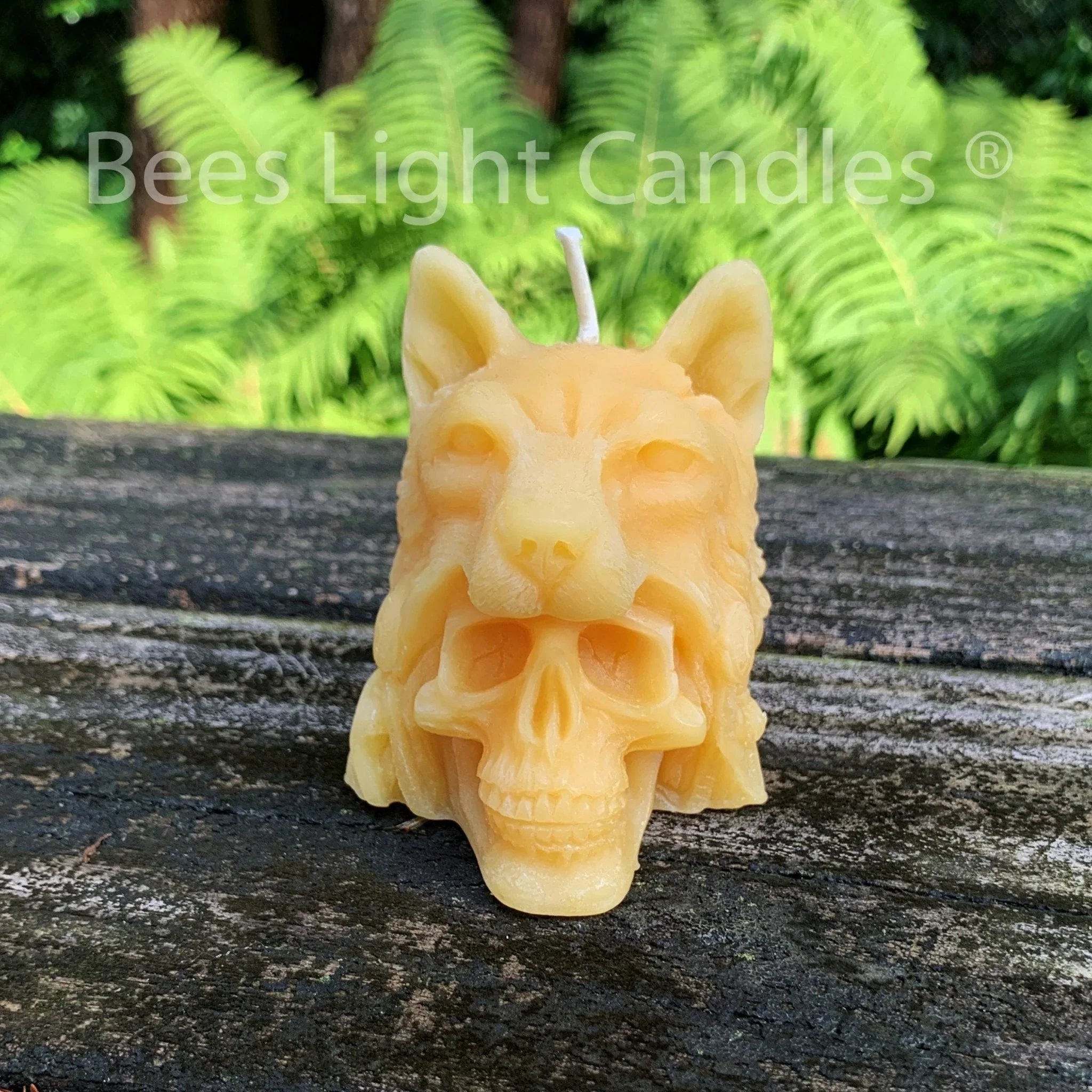 Indian Chief Skull Wolf Candle - BIG FRENCHIES