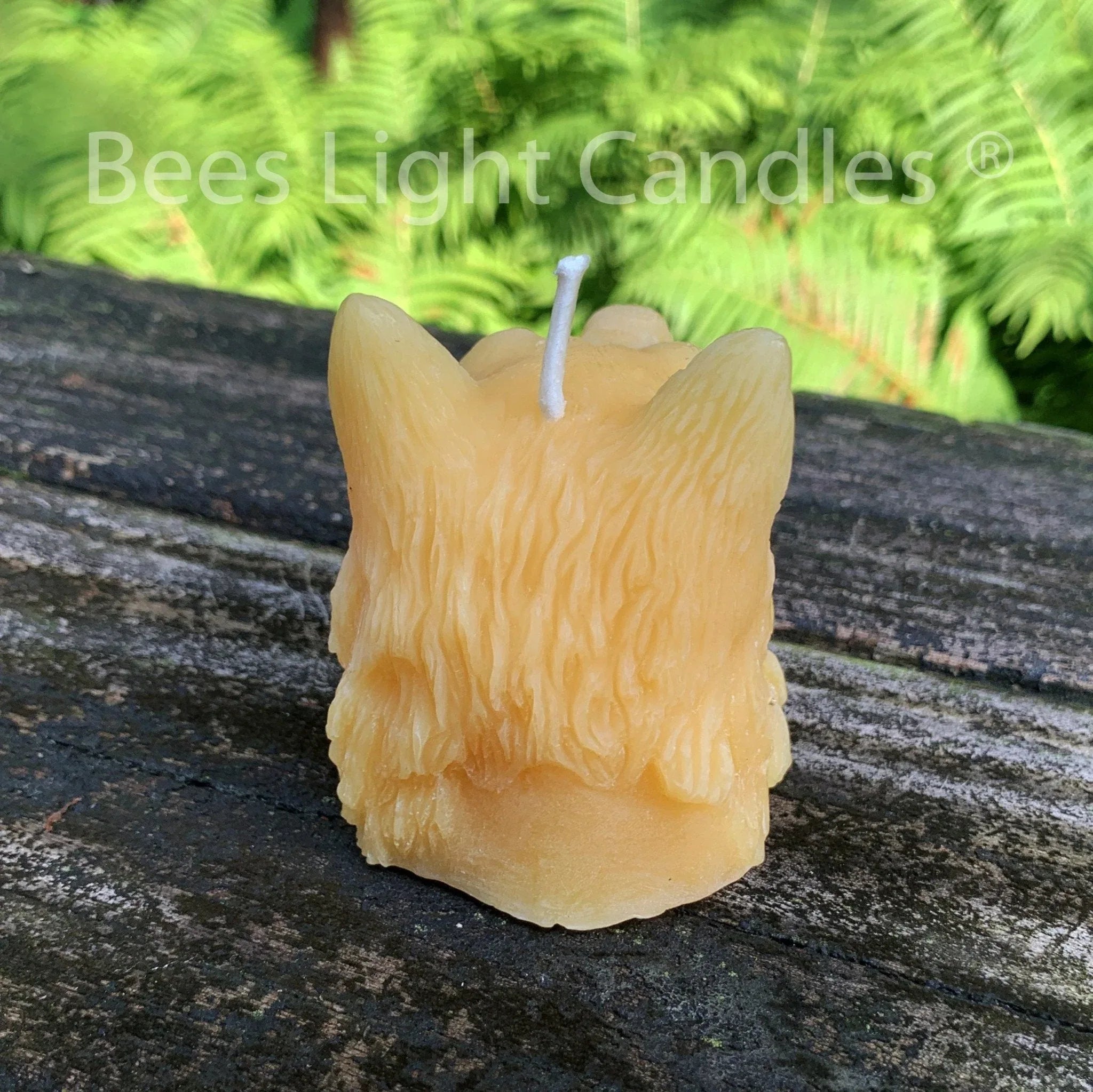 Indian Chief Skull Wolf Candle - BIG FRENCHIES