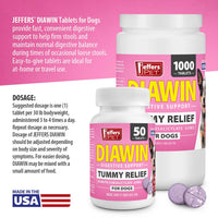 Jeffers Diawin Digestive Support for Dogs – Bismuth Tummy Relief for Diarrhea