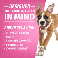 Jeffers Diawin Digestive Support for Dogs – Bismuth Tummy Relief for Diarrhea