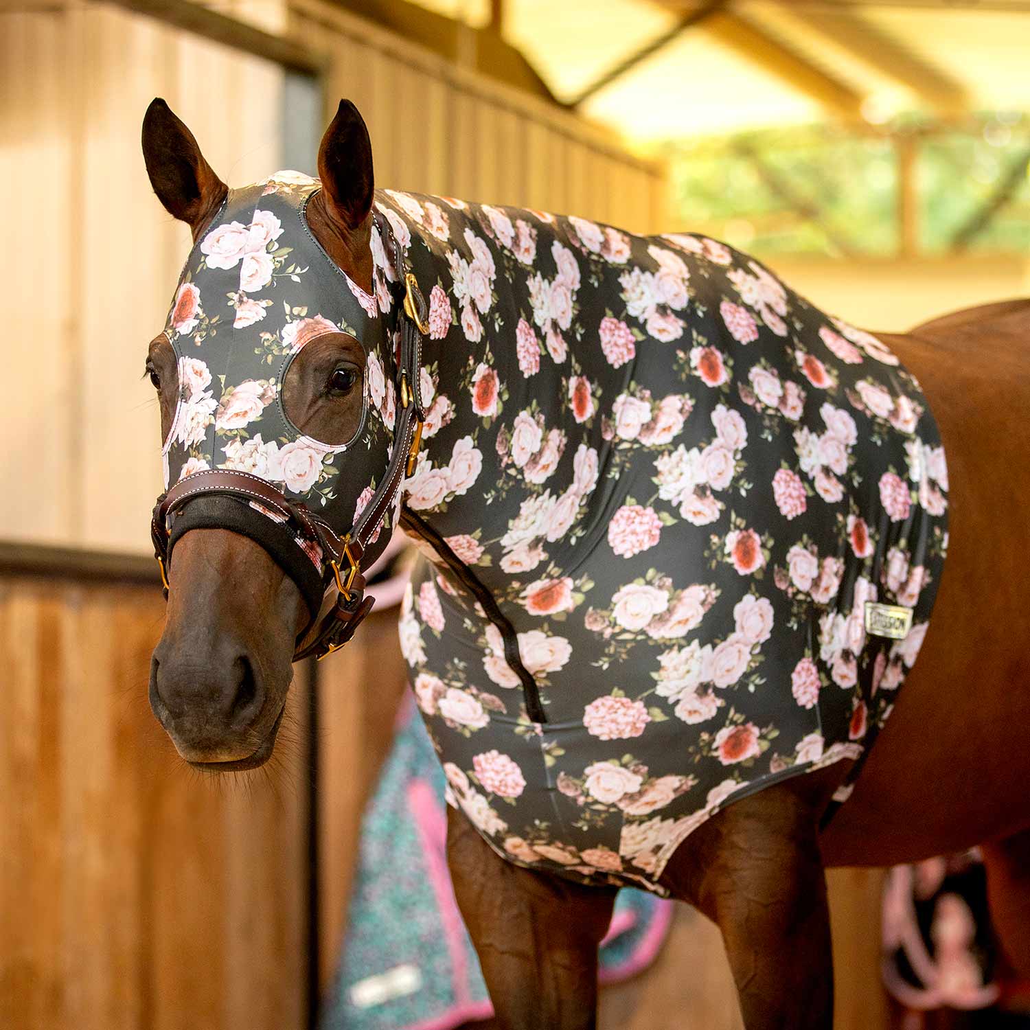Jeffers Expression Lycra Hood for Horses