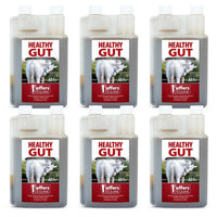 Jeffers Healthy Gut Gastric Support Liquid Supplement for Horses