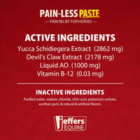 Jeffers Pain-Less Pain Relief Paste for Horses