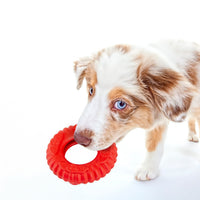 Jeffers Red Virgo Tugger Natural Rubber Dog Dental Chew Toy for Interactive or Solo Play