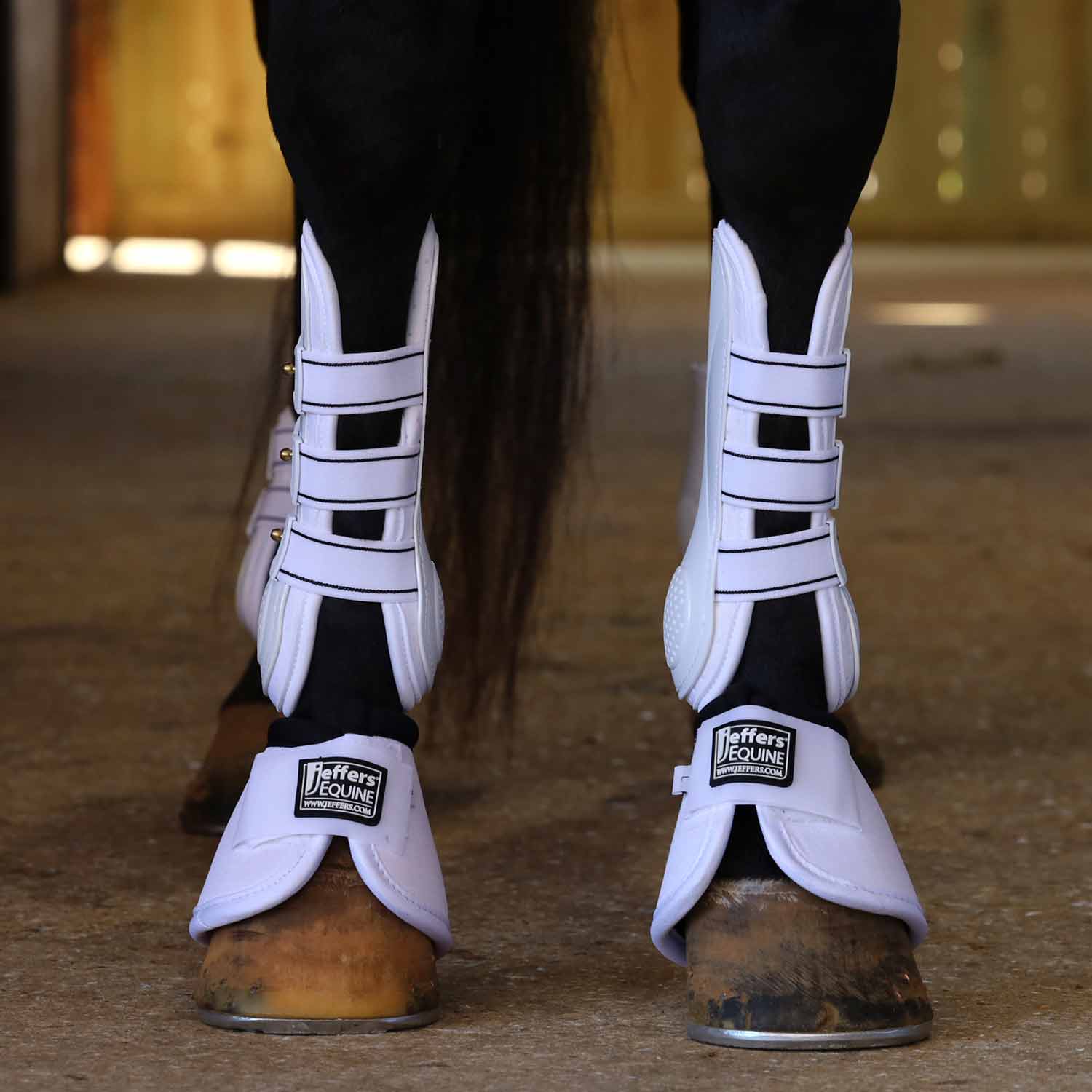 Jeffers Uniquely English Horse Tendon Boots, 2-Pack