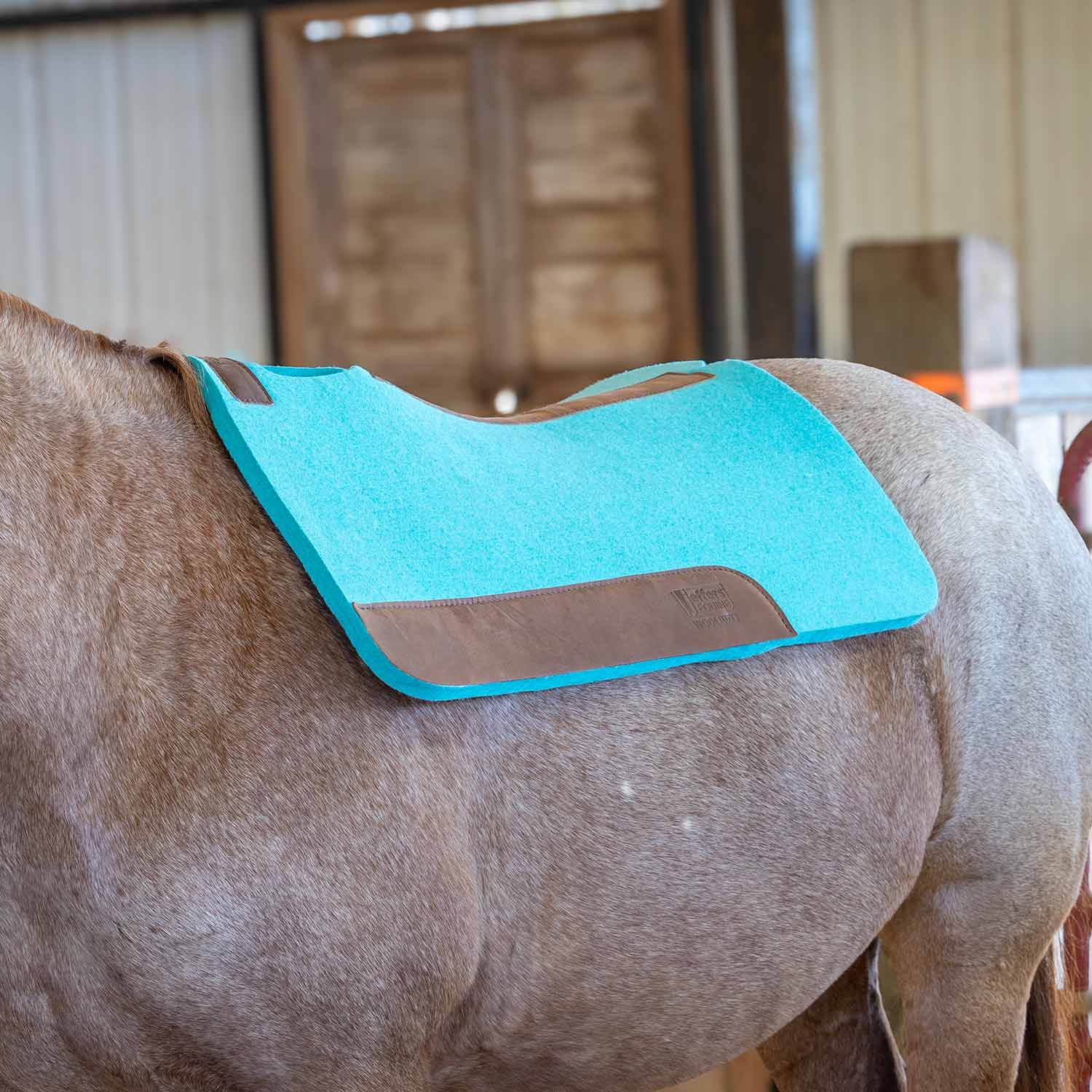 Jeffers WoolLuxe 100% Wool Equine Saddle Pad – Cushioned, Breathable, and Shock-Absorbing