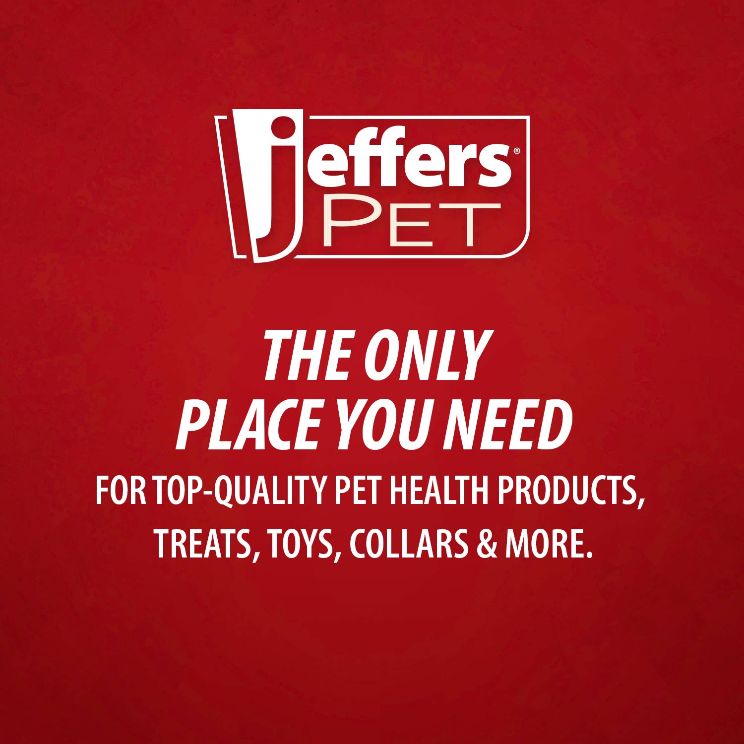 Jeffers Professional Stainless Steel Pet Grooming Shears