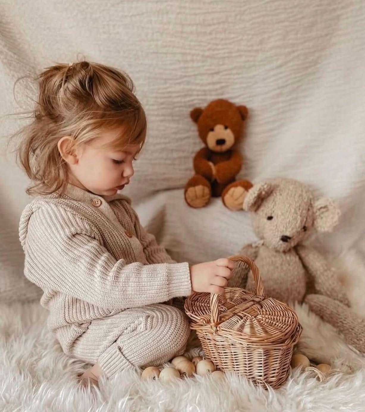 Wool Knit Buddy | Alfred the Bear - BIG FRENCHIES