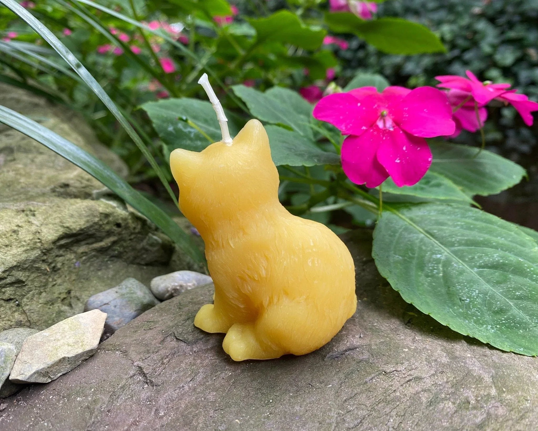 Kitten Beeswax Candle - BIG FRENCHIES