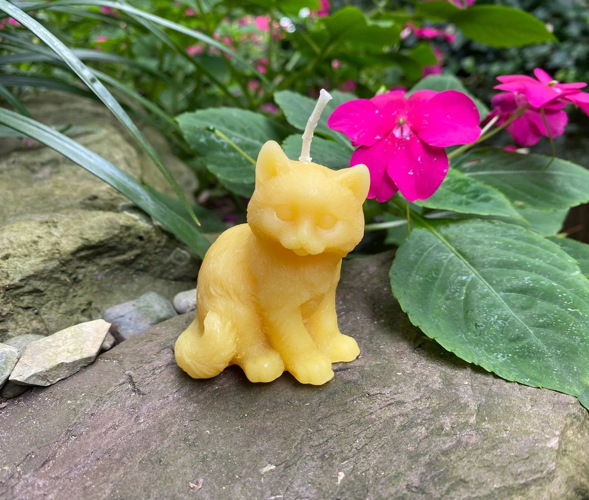 Kitten Beeswax Candle - BIG FRENCHIES