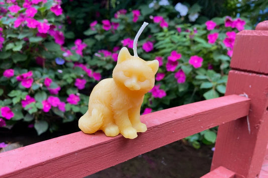 Kitten Beeswax Candle - BIG FRENCHIES